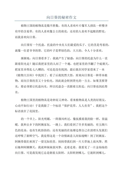 向日葵的秘密作文