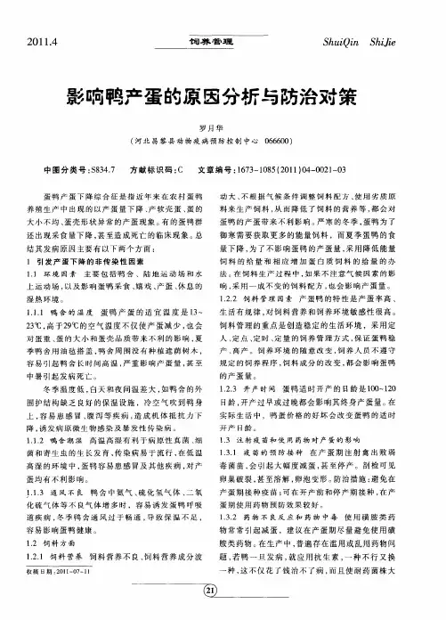 影响鸭产蛋的原因分析与防治对策
