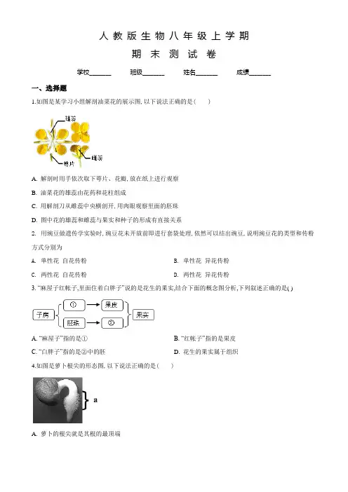 人教版八年级上学期生物《期末考试试题》附答案