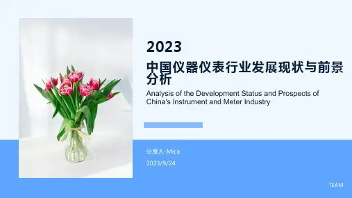 2023年中国仪器仪表行业发展现状前景分析报告模板