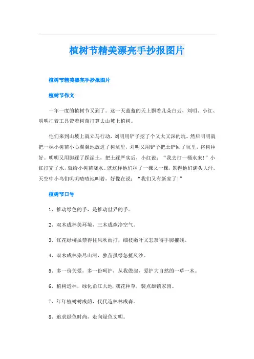 植树节精美漂亮手抄报图片