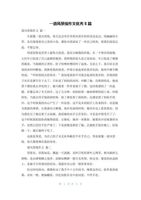 一道风景线作文优秀5篇