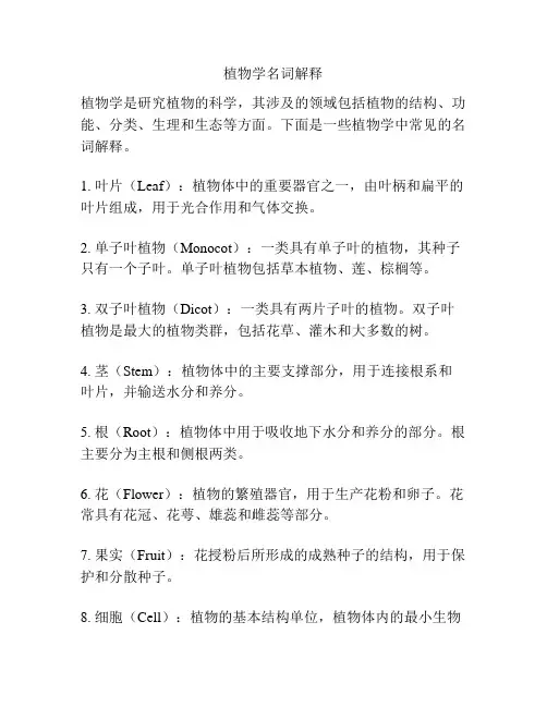 植物学名词解释