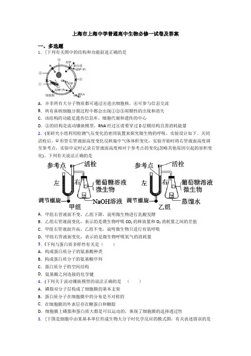上海市上海中学普通高中生物必修一试卷及答案