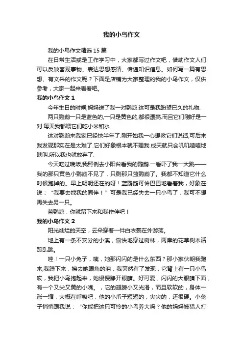 我的小鸟作文
