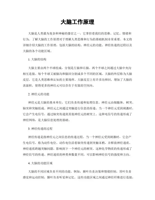 大脑工作原理