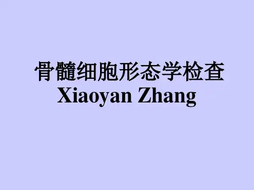 《实验诊断学》骨髓细胞形态学检查PPT课件