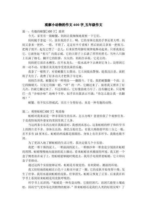 观察小动物的作文400字_五年级作文