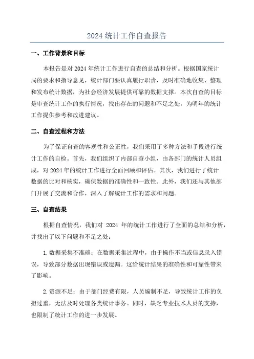 2024统计工作自查报告