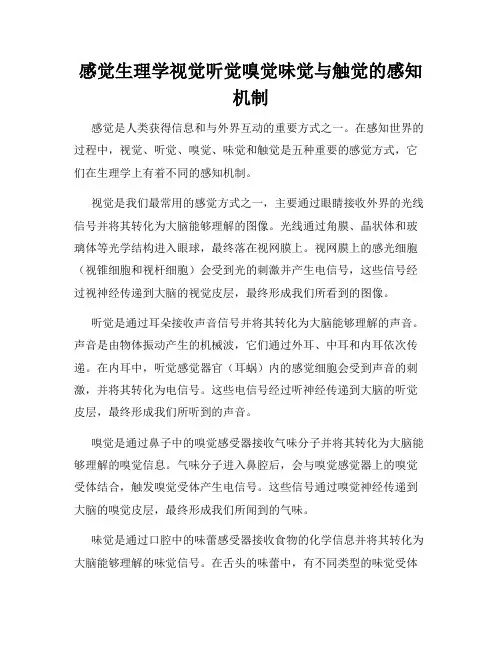 感觉生理学视觉听觉嗅觉味觉与触觉的感知机制
