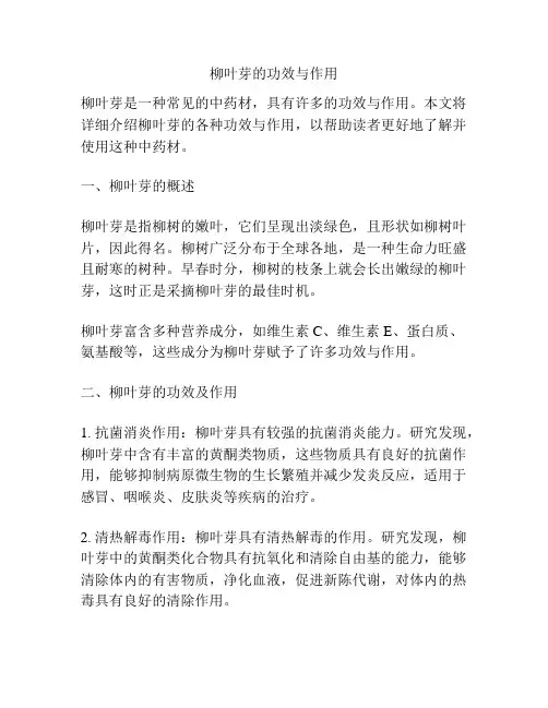 柳叶芽的功效与作用