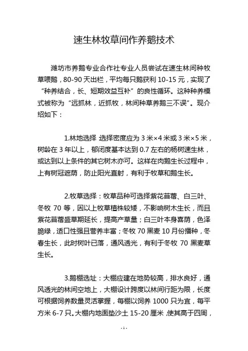速生林牧草间作养鹅技术
