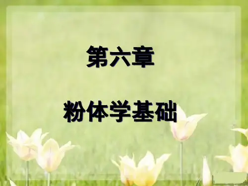 药剂学6章粉体学.pptx