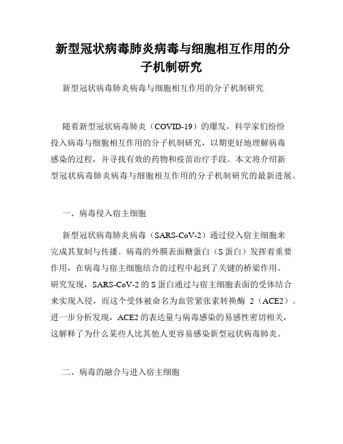  新型冠状病毒肺炎病毒与细胞相互作用的分子机制研究