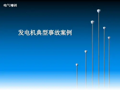 发电机典型事故案例sxd