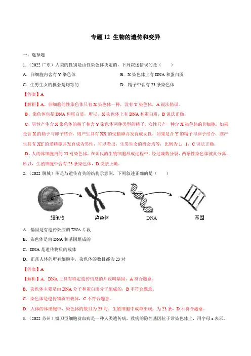 专题12 生物的遗传和变异-三年(2020-2022)中考生物真题分项汇编(全国通用) 带解析