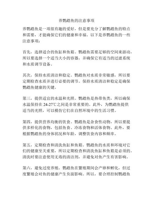 养鹦鹉鱼的注意事项