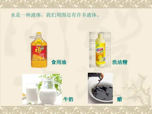 三年级上册水和食用油的比较