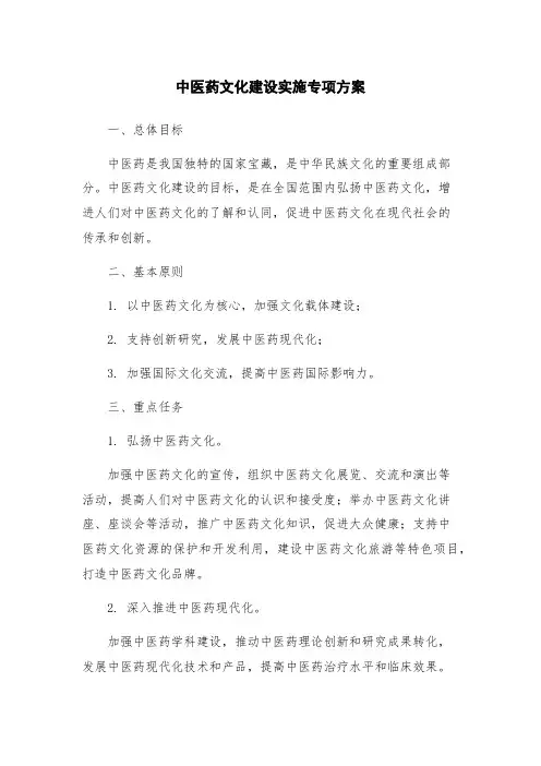 中医药文化建设实施专项方案