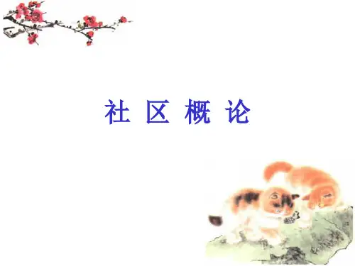 001社区的概念要素和类型