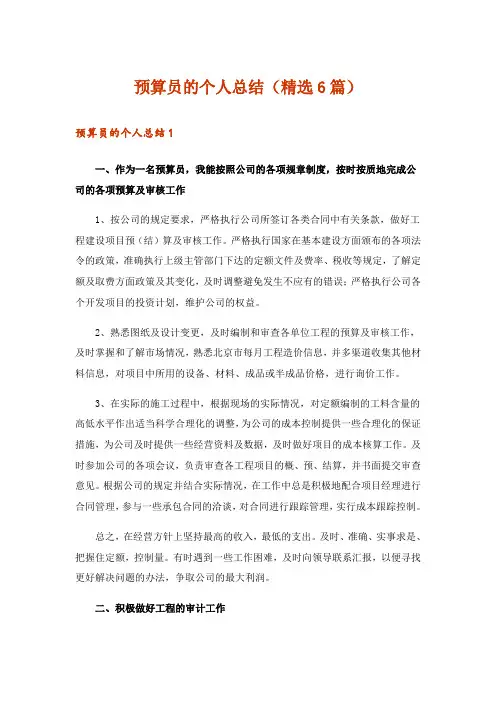 预算员的个人总结(精选6篇)