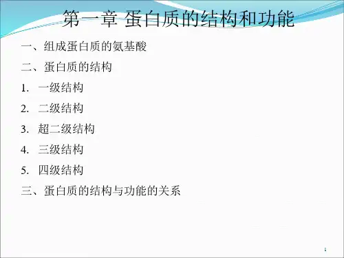第一章 蛋白质的结构与功能