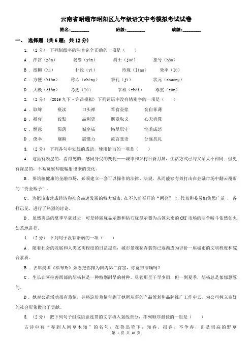 云南省昭通市昭阳区九年级语文中考模拟考试试卷