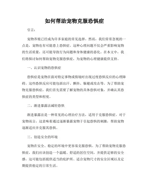 如何帮助宠物克服恐惧症