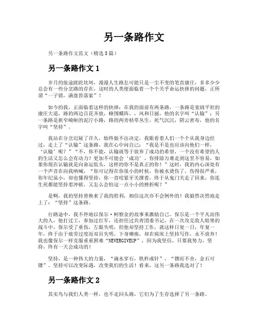另一条路作文