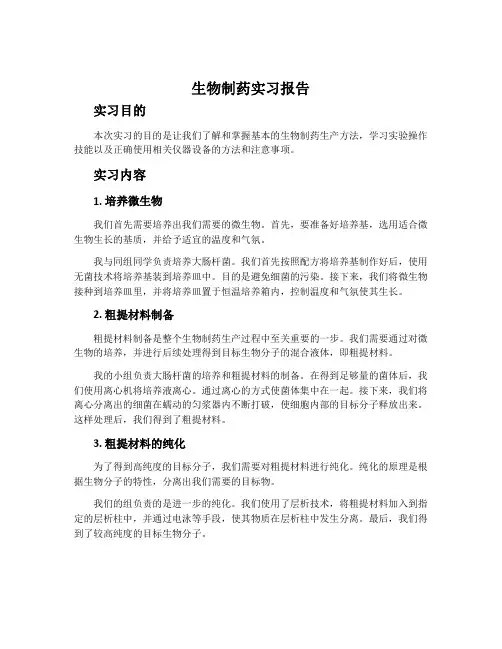 生物制药实习报告