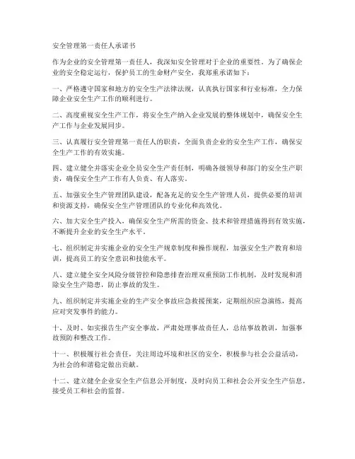 安全管理第一责任人承诺书