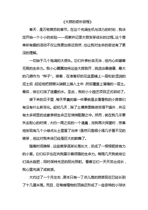 大蒜的奇妙旅程