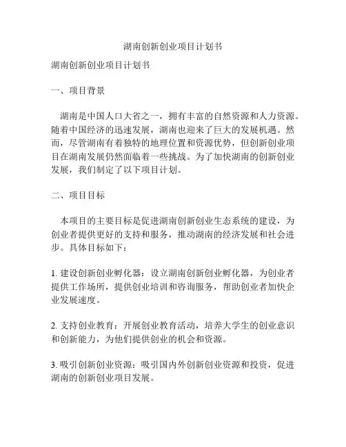 湖南创新创业项目计划书