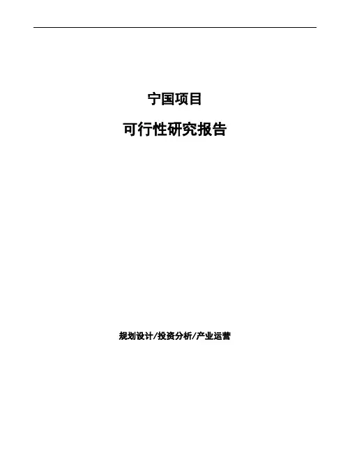 宁国项目可行性研究报告说明