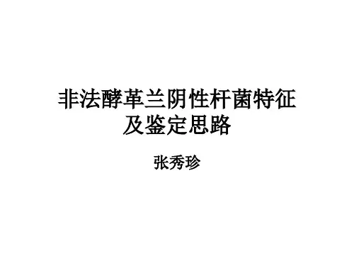 不动杆菌属非发酵菌的分类假单胞菌科rRNAI群rRNAIII群rRNAV群