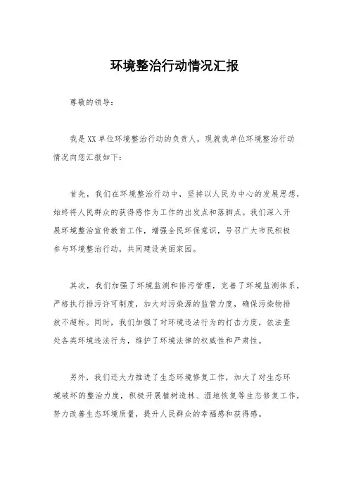 环境整治行动情况汇报