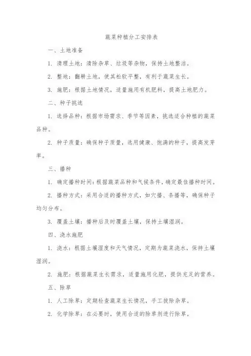蔬菜种植分工安排表