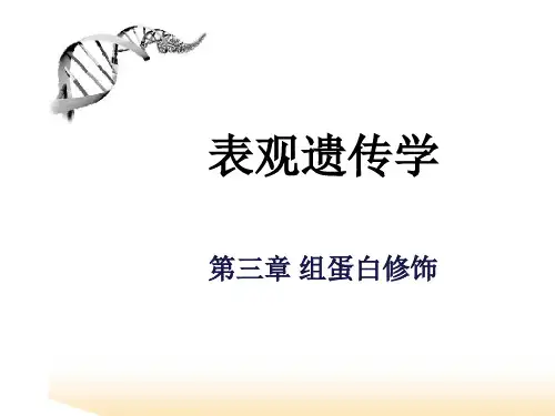 表观遗传学 第三章 组蛋白修饰 ppt课件