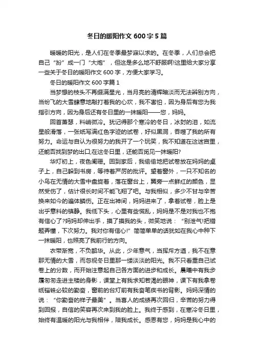 冬日的暖阳作文600字5篇