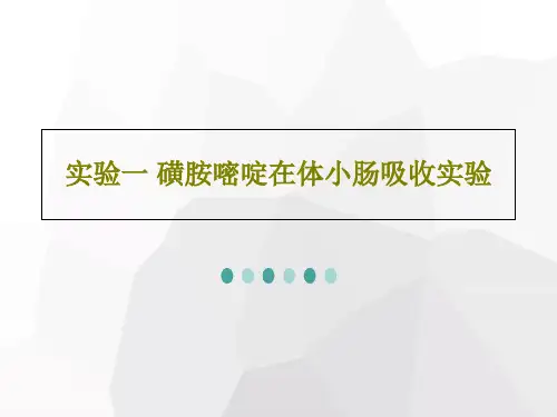 实验一 磺胺嘧啶在体小肠吸收实验26页PPT