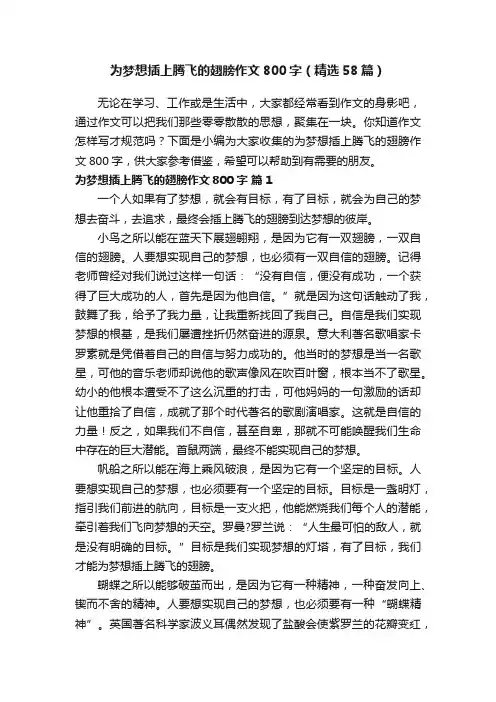 为梦想插上腾飞的翅膀作文800字（精选58篇）