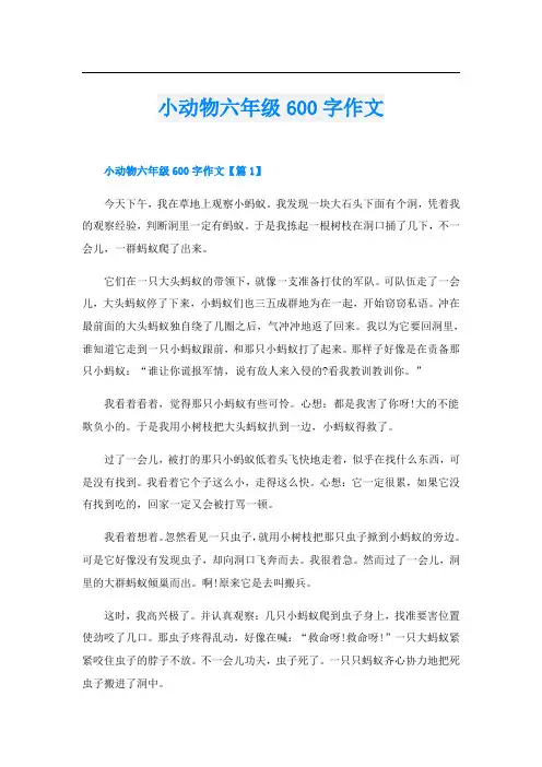 小动物六年级600字作文