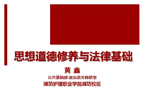 《思想道德修养与法律基础》微课之PPT—坚持走中国特色社会主义法治道路之坚持从中国实际出发
