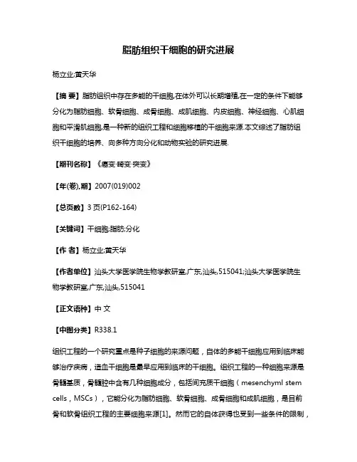 脂肪组织干细胞的研究进展