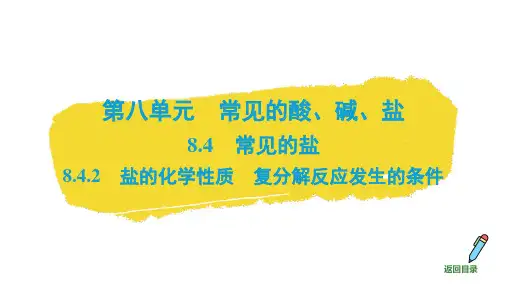 8.4常见的盐(第2课时盐的化学性质)2025学年九年级化学科粤版(2024)下册