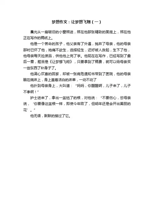 梦想作文：让梦想飞翔（一）