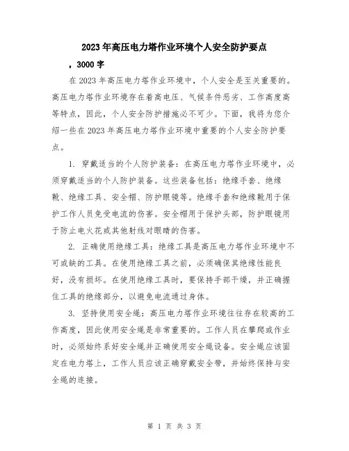 2023年高压电力塔作业环境个人安全防护要点