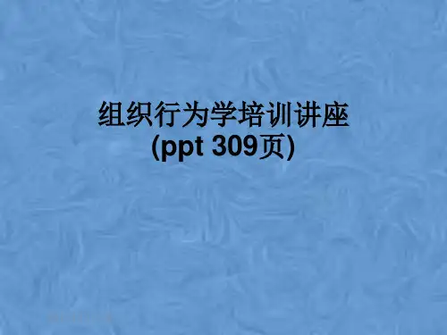 组织行为学培训讲座(ppt 309页)