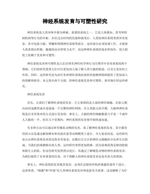 神经系统发育与可塑性研究