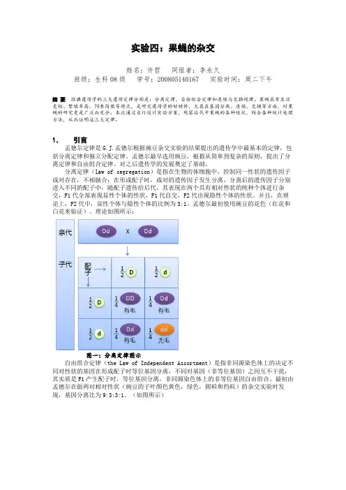 果蝇杂交的实验报告